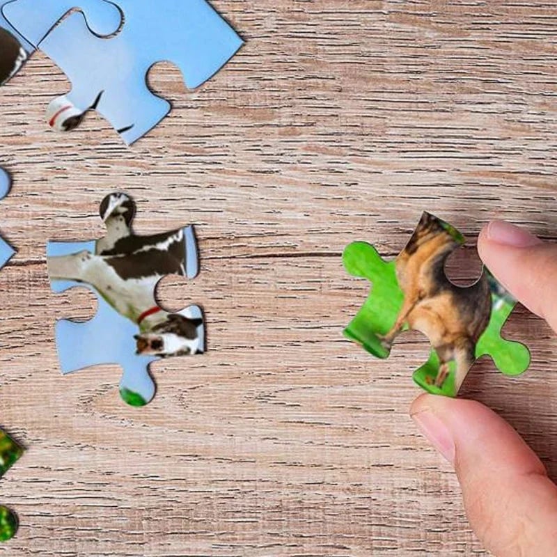 1000 Pieces Puzzle, 101 Dogs Pooping Puzzle