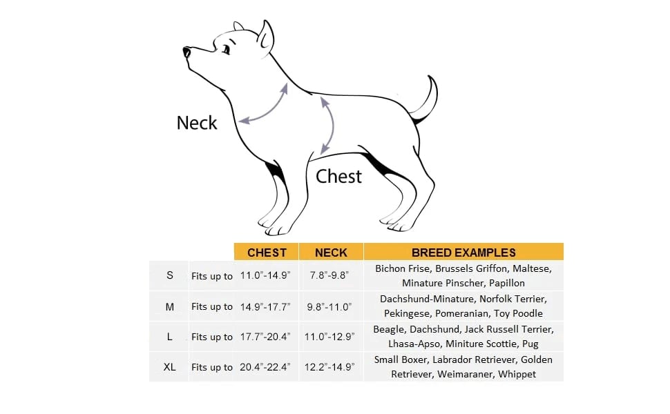 ๐๐Deadly Doll Costume ๐