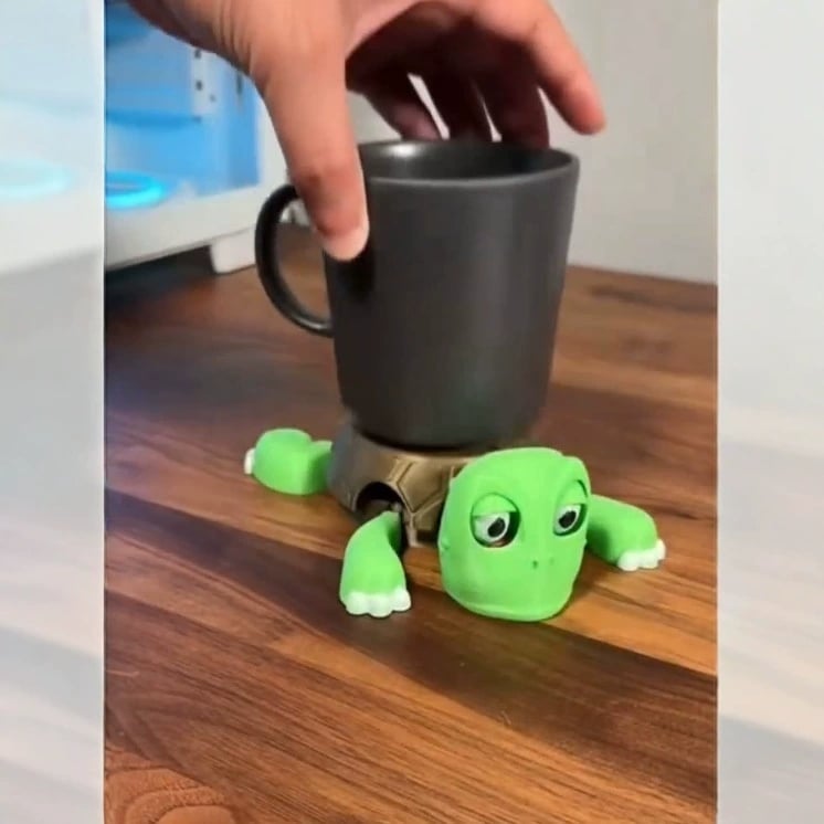 Open Eyed Turtle Funny Tea Coaster