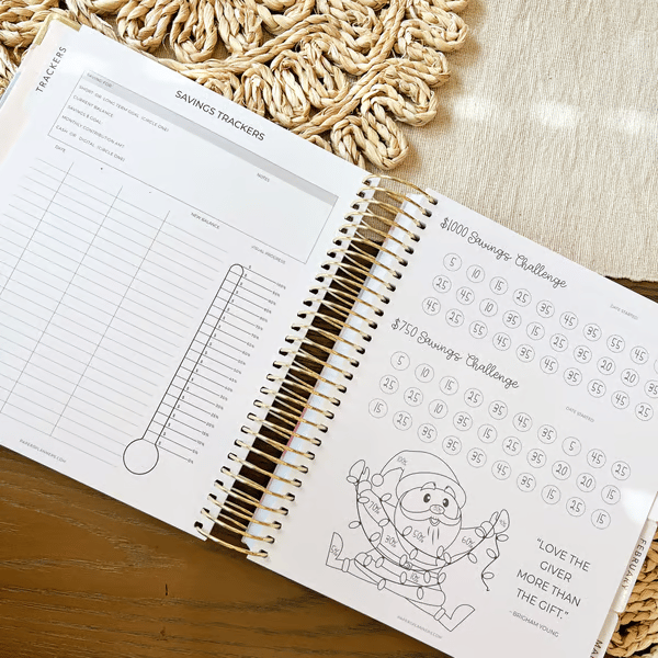 🔥LAST DAY 49% OFF - 📒2025 Budget Planner | Organized Planning