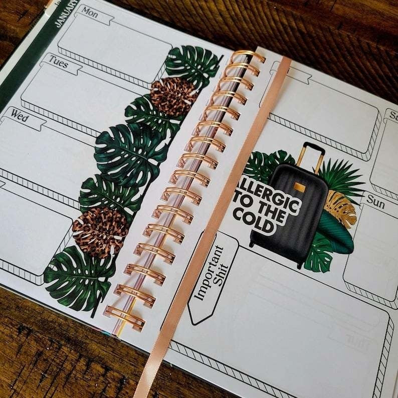 📖Organized Fucking Chaos | Funny Planner🎁BUY 2 FREE SHIPPING