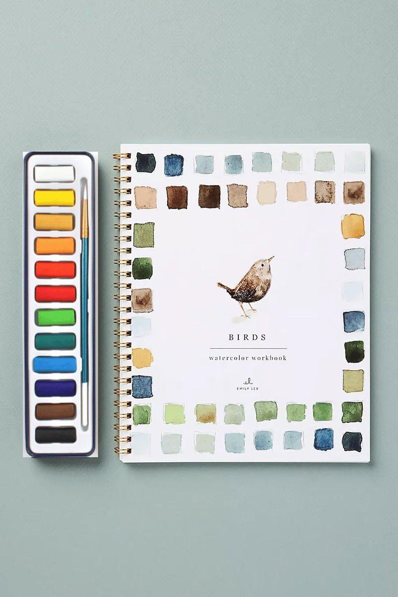 🖼️Beginner-Friendly💕 Watercolor Workbook