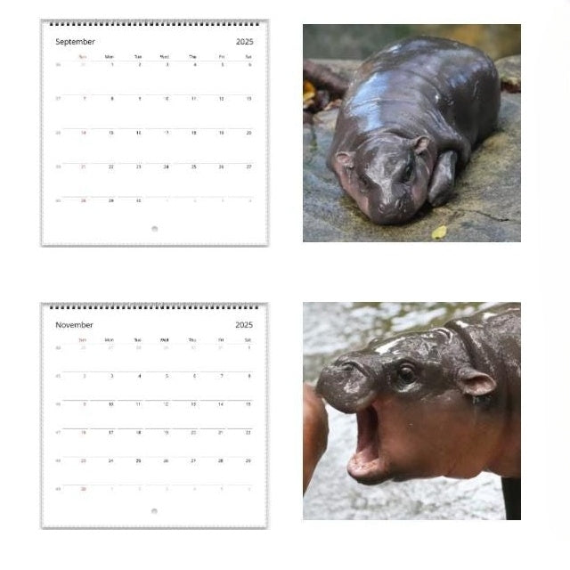 Moo Deng Calendar | 2025 Calendar