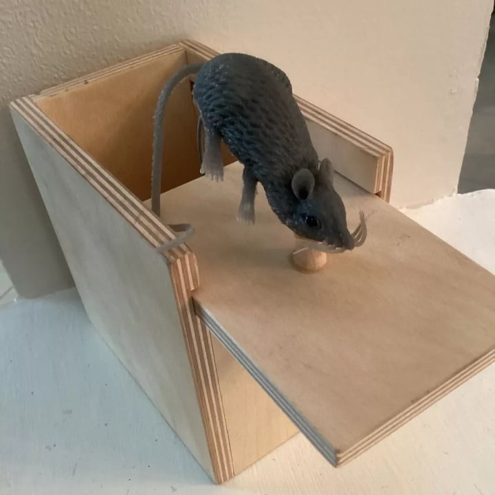 🔥Last Day Sale-🤣Super Funny Crazy Prank Gift Box Spider🕷️