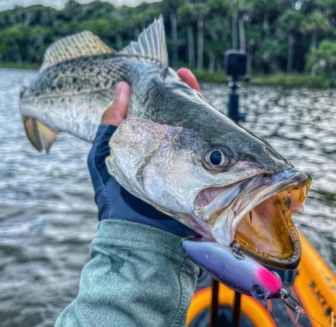 🔥Last Day Promotion 49% OFF-Topwater Co Speed Clips