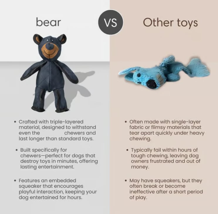 2025 New Bear For Chewers🐾