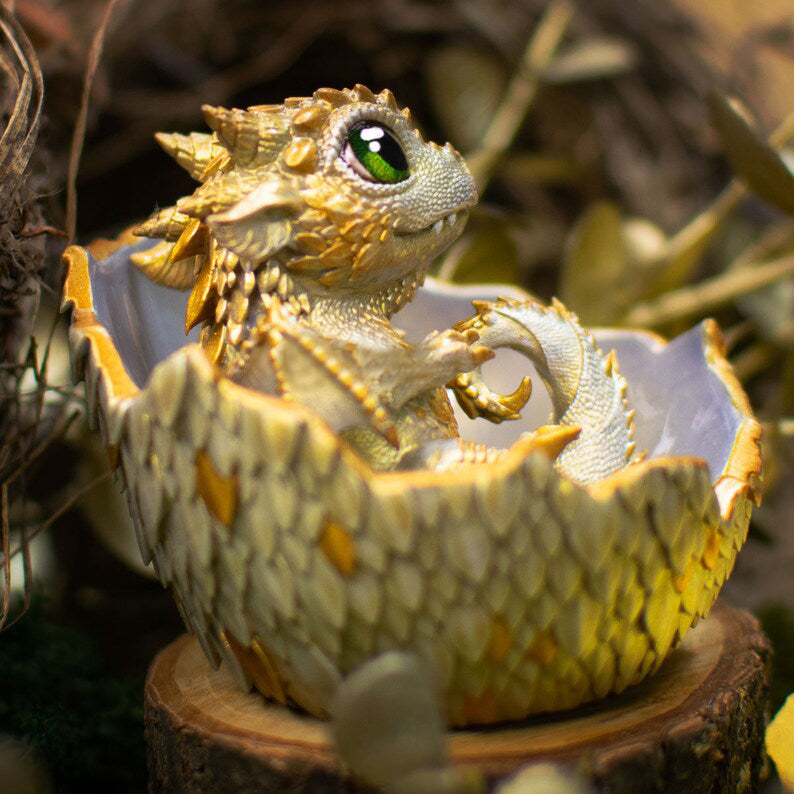 🐲🥚Dragon Hatchling