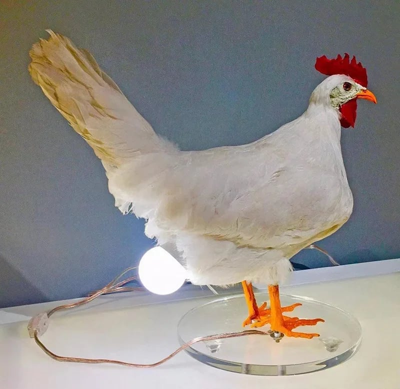 🐓💡Hilarious Chicken Egg Lamp