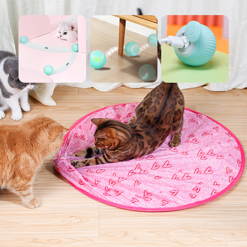 ✨2 in 1 Simulated Interactive hunting cat toy