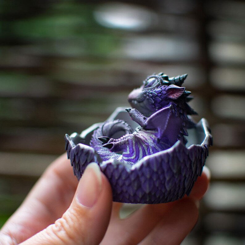 🐲🥚Dragon Hatchling