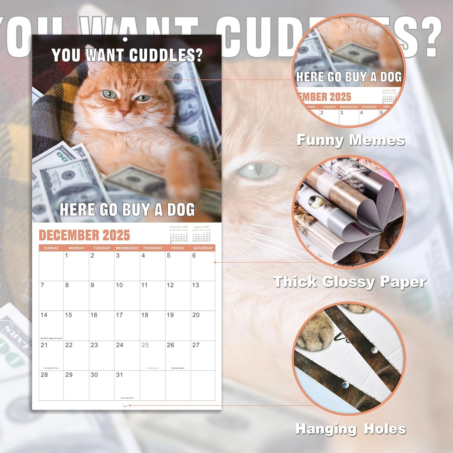 🐱Funny Cat Calendar 2025📅