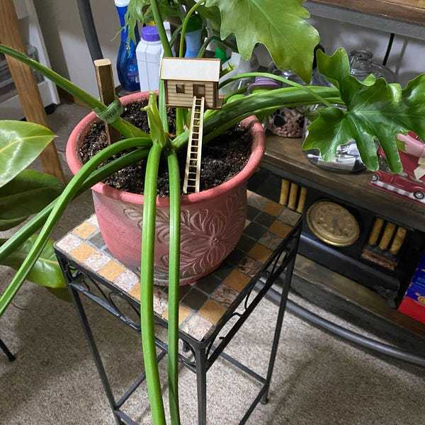 🔥🔥2025 Mother's Day Gift 50% Off--Plant Mini Treehouse