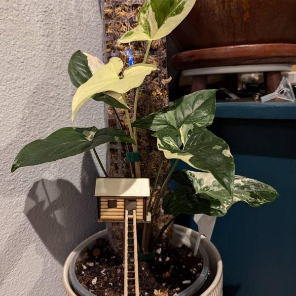 🔥🔥2025 Mother's Day Gift 50% Off--Plant Mini Treehouse