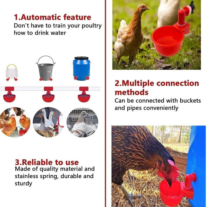 š„š„Last Day 50% OFF--š„Automatic Chicken Water Cup Bird Coop