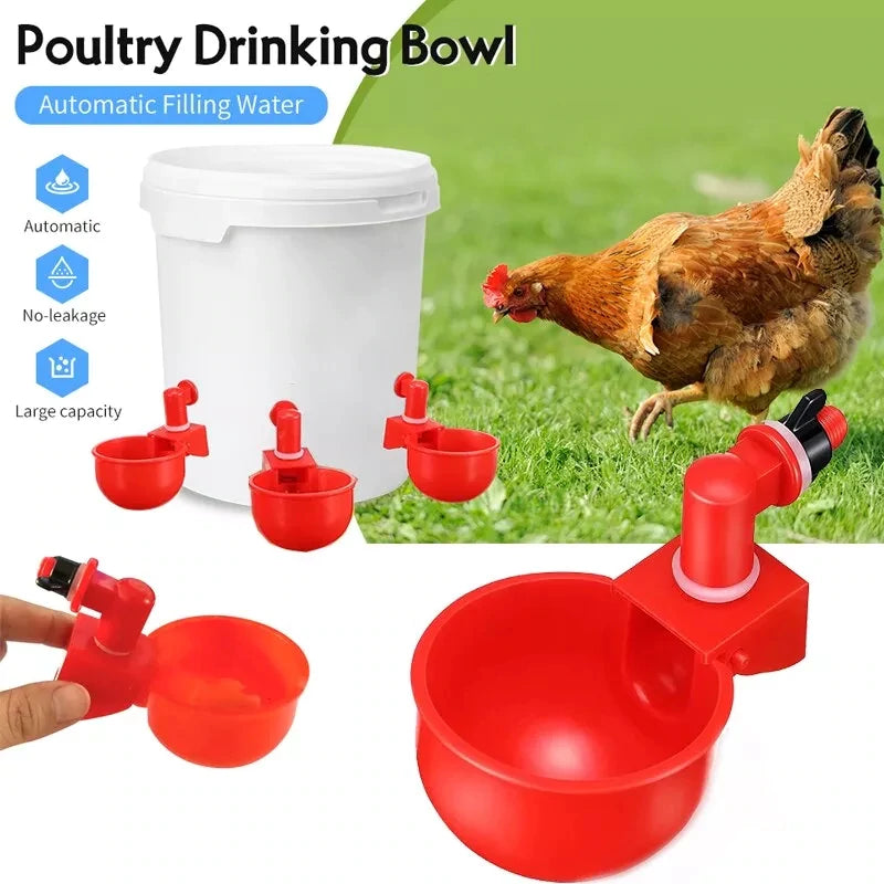 š„š„Last Day 50% OFF--š„Automatic Chicken Water Cup Bird Coop