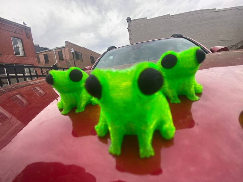 🐸Just A Lil Dude Frog Magnet