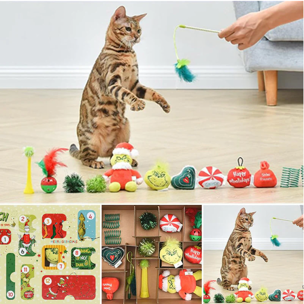 The Grinch Stole Christmas Cat Advent Box