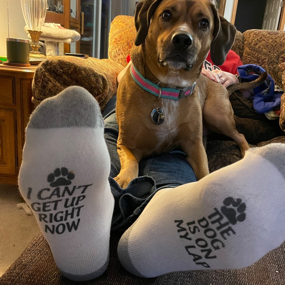 🧦Hilarious Socks with Printed Words