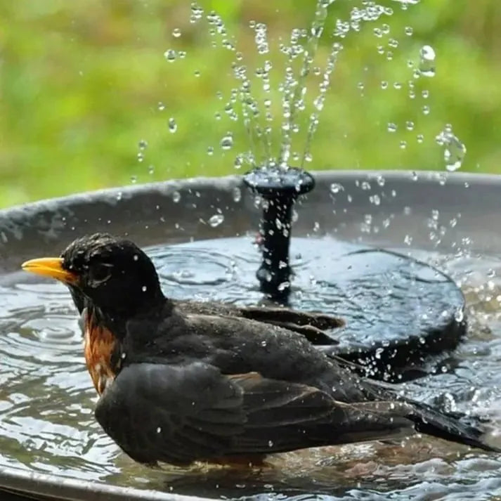(๐2024 New Year Hot Sale๐)Solar Powered Water Fountain