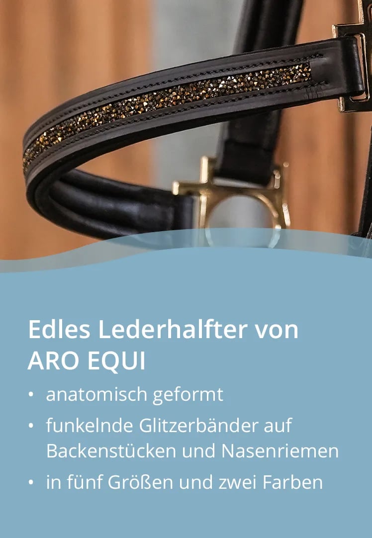 💥LAST DAY SALE 50% OFF💥- 🐎HORSEBRANDS Advent Calendar 2024