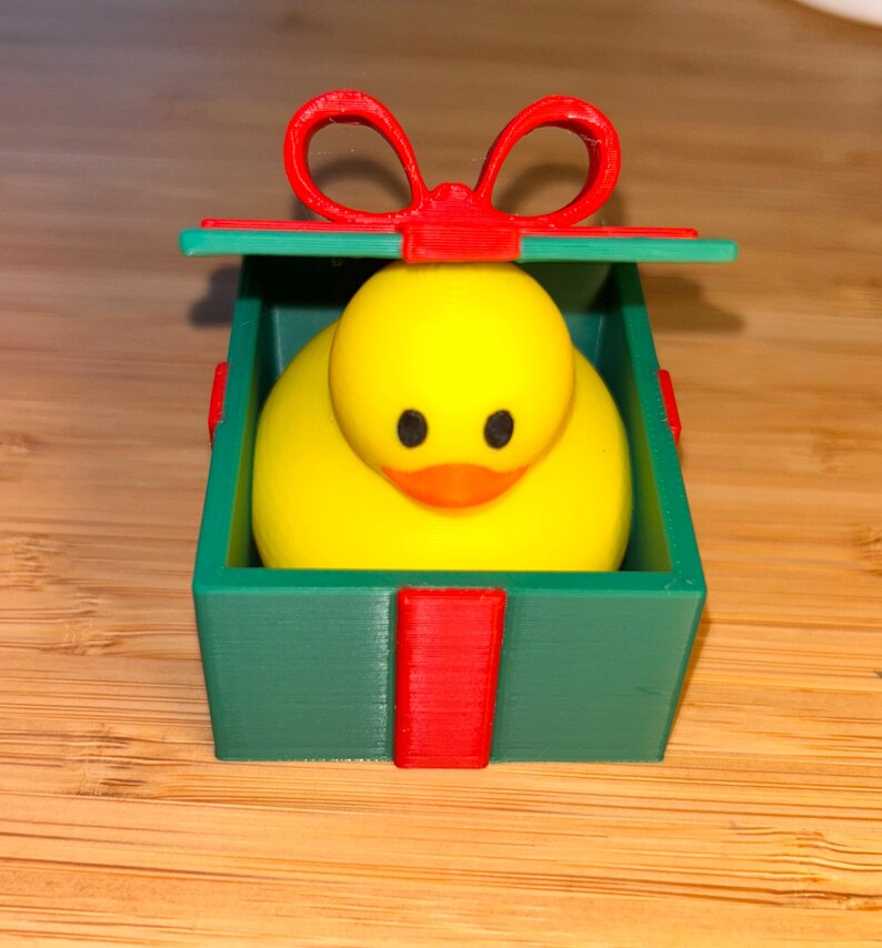 π¦π Adorable Duck in a Present Ornament