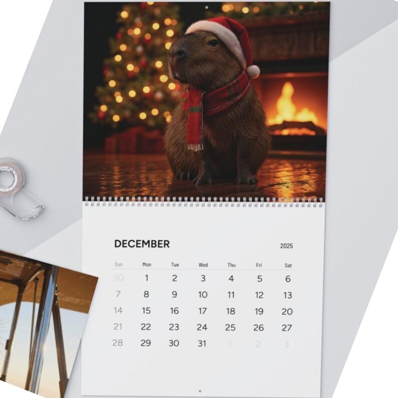 2025 Capybara Wall Calendar