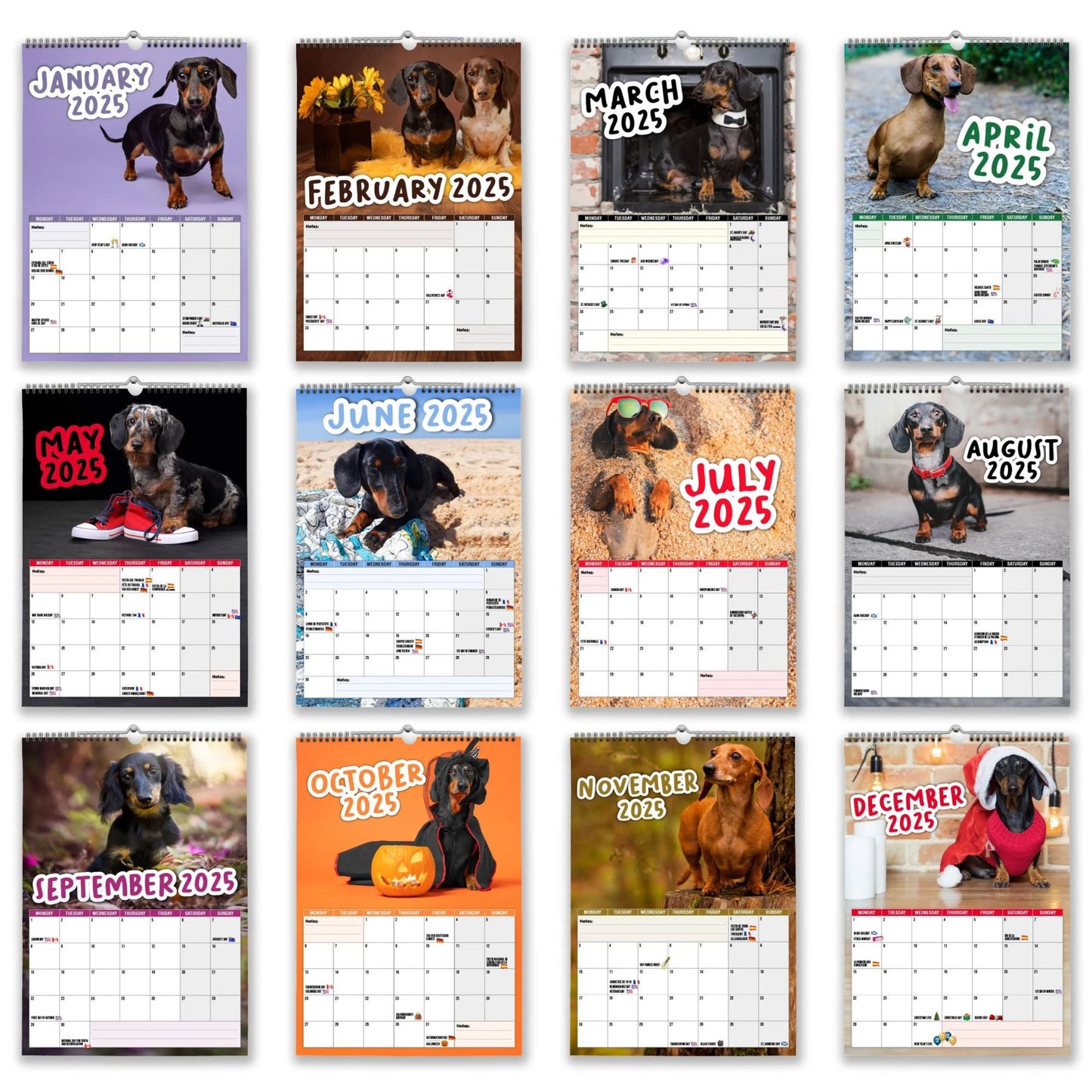 🦴🐶2025 Dachshund Wall Calendar