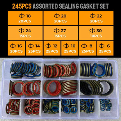 🎁2024 New Year Hot Sale🎁100pcs/ 245pcs Assorted Sealing Gasket Set