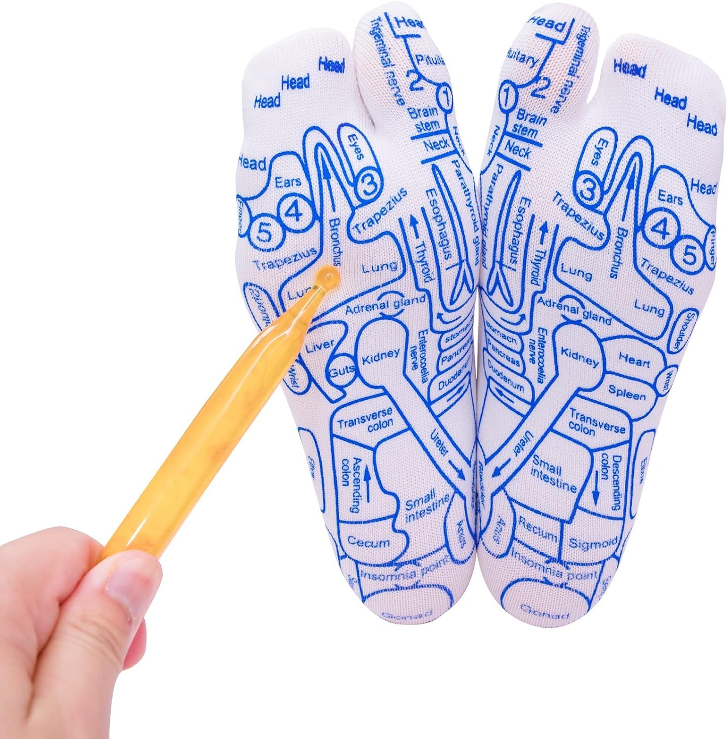 Reflexology Chart Socks with Trigger Point Massage Tool