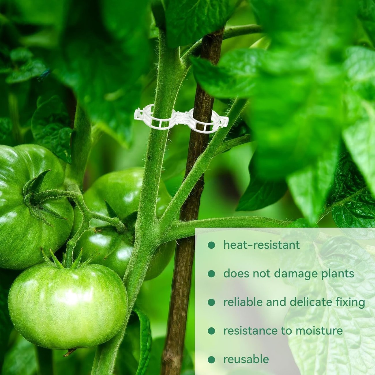 Vegetable Plant Support Clips