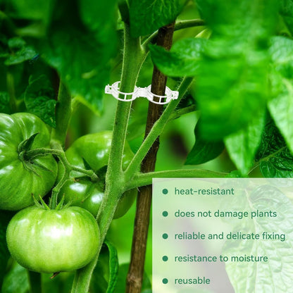 Vegetable Plant Support Clips