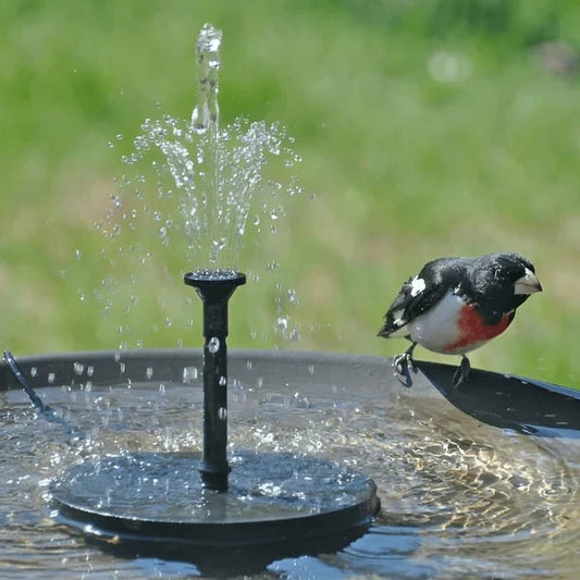 🔥Last Day Promotion - 49% OFF🔥Solar-Powered Bird Fountain Kit