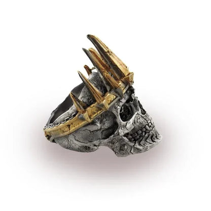 🎁Death Knight Ring