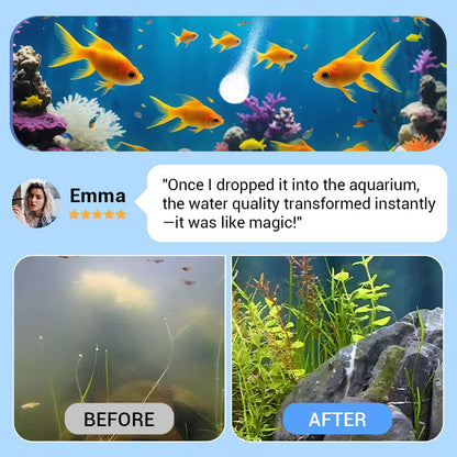 🎁49%OFF- 🌿Powerful Aquarium Water Purification Tablet