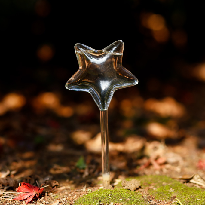 🎁2024 New Year Hot Sale🎁Self-Watering Plant Glass Bulbs