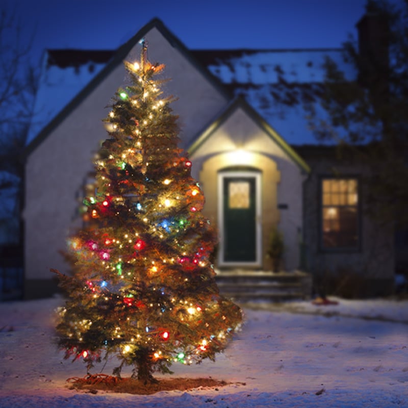 🎃Early Halloween 49%OFF - Smart Rainbow LED Permanent Outdoor Light - Smartlight 🎁