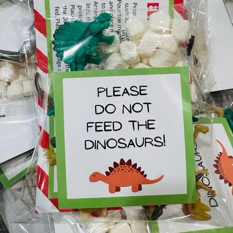 2024 Elf Kit 12/24 Days of Christmas