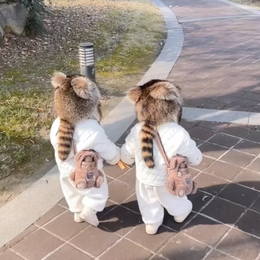Winter Cute Plush Raccoon Hat