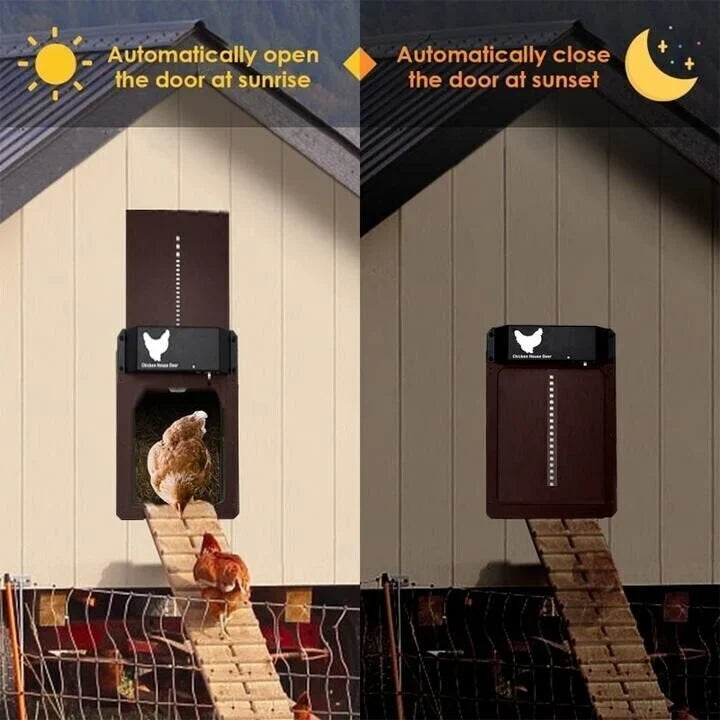 🎉LAST DAY 49% OFF🎉 --Automatic Chicken Coop Door