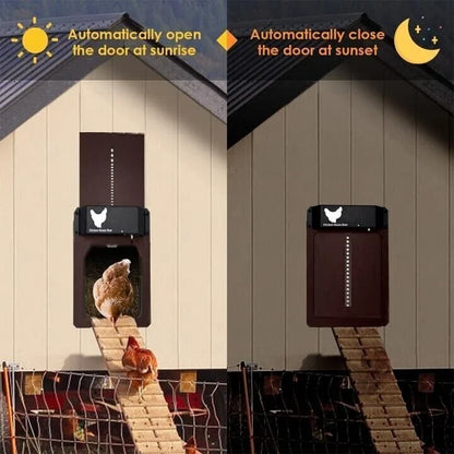 🎉LAST DAY 49% OFF🎉 --Automatic Chicken Coop Door