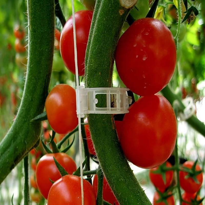Tomato Clips, Plastic Trellis Clips