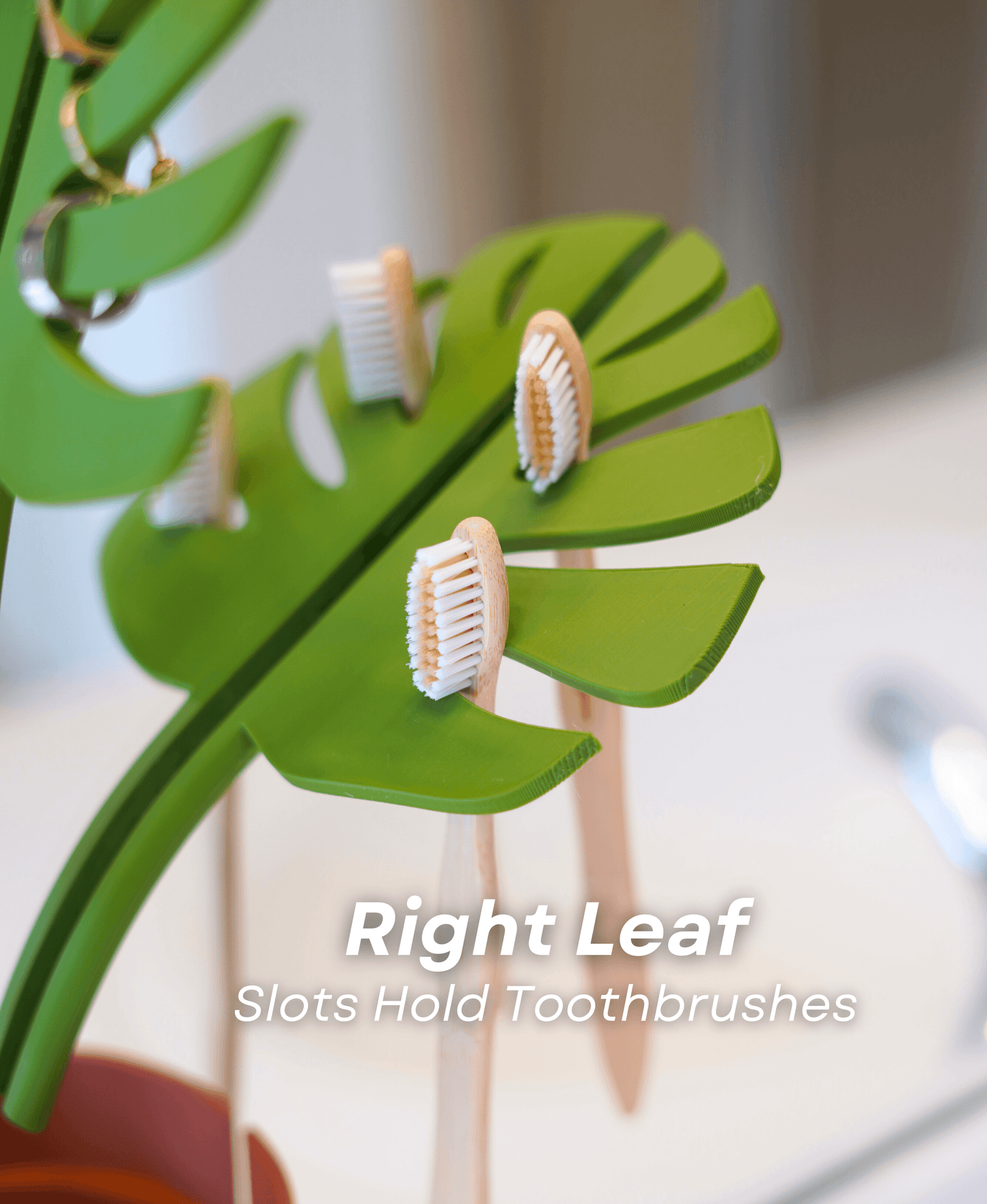 Mirror Monstera - Bathroom Organizer