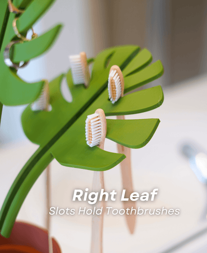 Mirror Monstera - Bathroom Organizer