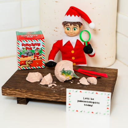 🔥Hot Sale🔥Christmas Elf Adventure Kit Gifts