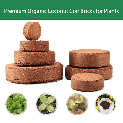 🔥2025 New Year Big Sale⏰ - ✨Organic Coconut Coir for Plants🥥🌱