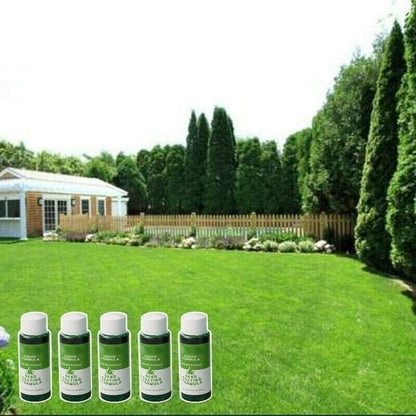 🔥Last Day 49% OFF🔥GreenRevive HydroSeeding Lawn Solution