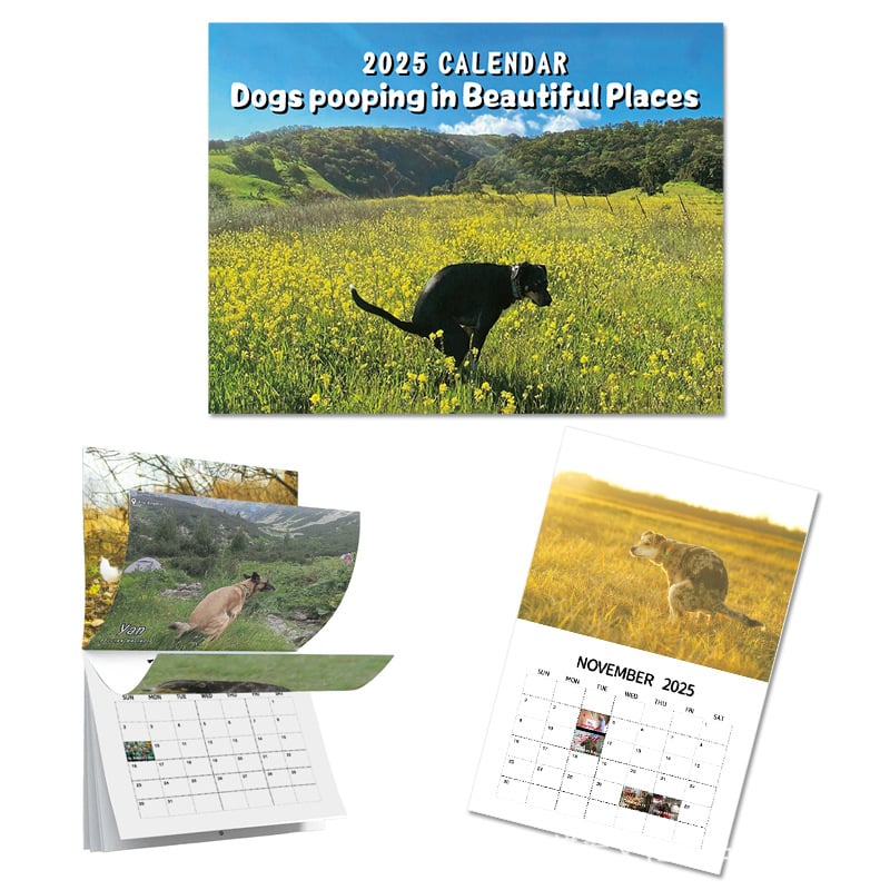😆Funniest Calendar Of The Century|"Artistic Expression" Of Furry Friends