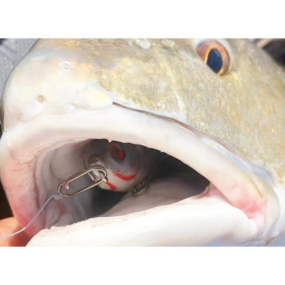 🔥Last Day Promotion 49% OFF-Topwater Co Speed Clips