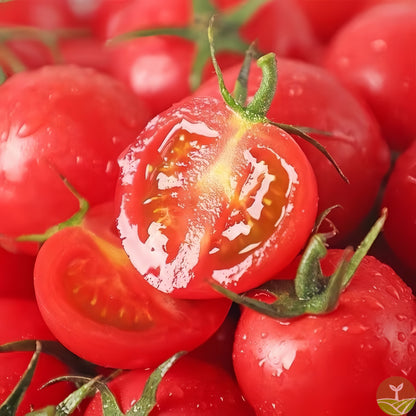 🎉Limited Time Offer 🍅Waterfall Tomato Seeds（High Yield）