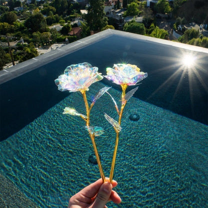 💖 2025 Valentine's Day Hot Sale 49% OFF - 🌹Limited Edition Crystal Rose